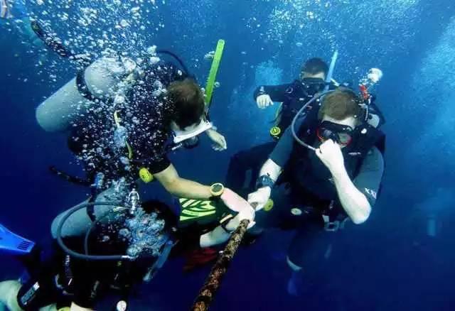 逃离水虎鱼湖